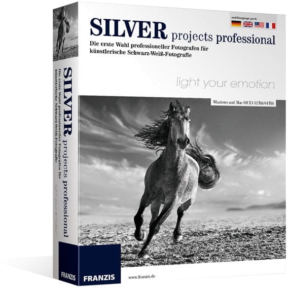 Progetti d'argento professionale