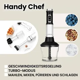 Zeegma 5 in 1 Stabmixer