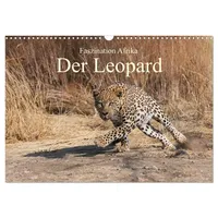 Calvendo Faszination Afrika: Der Leopard (Wandkalender 2026 DIN A3