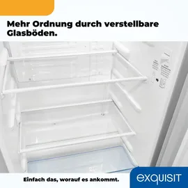 Exquisit KS85-V-091E Kühlschrank (75 l, 843 mm hoch, Grau)