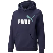 Puma Hoodie Blue 140