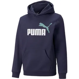 Puma Hoodie Blue 140