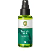 Primavera Raumspray Energiekick