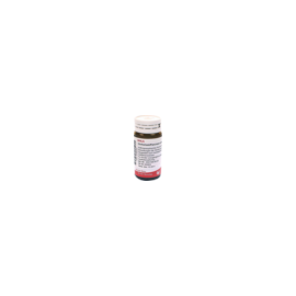 Wala Cichorium Pancreas COMP