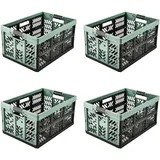 KEEEPER 4x Stabile Profi-Klappboxen mit Soft-Touch Griffen, 45 l, Ben, Nordic Green (Grün)