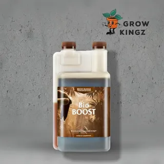Canna Bio Boost 1 l