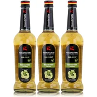 Riemerschmid Bar-Sirup Holunderblüte 0,7L - Cocktails Milchshakes (3er Pack)