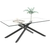 Okwish Schwarz Glas 46 x 60 x 120 cm