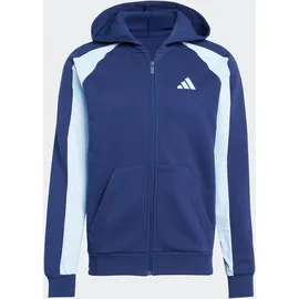 adidas Seasonal Essentials Kapuzensweatshirt Herren Blau M