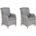 Beliani Gartensessel 60 x 96 x 73 cm grau 2 St.
