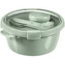 Curver Frischhaltedose rund grün Ø 22 cm 1,6 l