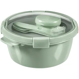 Curver Frischhaltedose rund grün Ø 22 cm 1,6 l