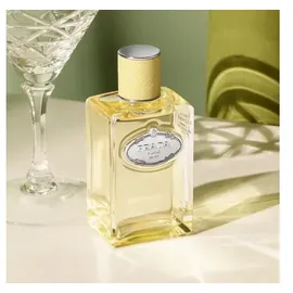 Prada Infusion de Gingembre Eau de Parfum 100 ml