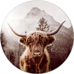 Aludibondbild SCOTTISH - bunt