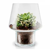 eva solo Blumentopf für Sukkulenten 15 cm aus Glas