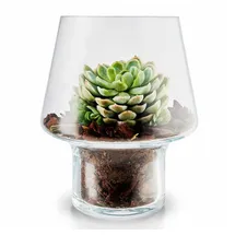 eva solo Blumentopf für Sukkulenten 15 cm aus Glas