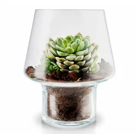 eva solo Blumentopf für Sukkulenten 15 cm aus Glas