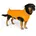 Wolters Hundebekleidung Outdoorjacke Modern Classic orange