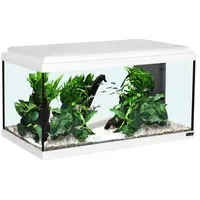 Aquatlantis Advance 60 LED Set 54,0 l weiß