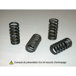 Tourmax Kawasaki Kupplungsfedersatz