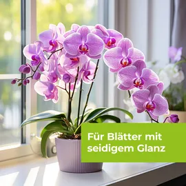 SBM Protect Garden Lizetan AF 500 ml