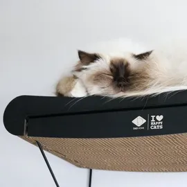 D&D Wandregal Pappe gewellt I Love Happy Cats "David" braun/schwarz - Braun/Schwarz
