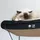 D&D Wandregal Pappe gewellt I Love Happy Cats "David" braun/schwarz - Braun/Schwarz