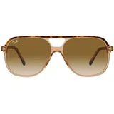 Ray-Ban Bill RB2198