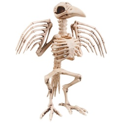 Metamorph Kostüm Vogelskelett Halloween Deko, Makaberes Raben Skelett für Eure Halloween Party weiß