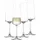Schott Zwiesel MioVino Sektglas 0,26 l 4 St.