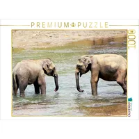 Calvendo Ratnapura Puzzle