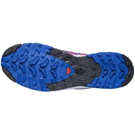 Salomon XA Pro 3D V9 GTX Herren Surf The Web/Fiery Red/White 42