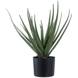 tinkaro Künstliche Zimmerpflanze Künstliche Aloe Vera Pflanze 30,5 x 30,5 x 51 cm Grün, tinkaro, Höhe 51 cm grün|schwarz
