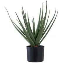 tinkaro Künstliche Zimmerpflanze Künstliche Aloe Vera Pflanze 30,5 x 30,5 x 51 cm Grün, tinkaro, Höhe 51 cm grün|schwarz
