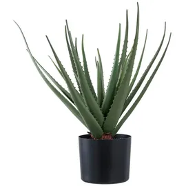 tinkaro Künstliche Zimmerpflanze Künstliche Aloe Vera Pflanze 30,5 x 30,5 x 51 cm Grün, tinkaro, Höhe 51 cm grün|schwarz