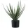 tinkaro Künstliche Zimmerpflanze Künstliche Aloe Vera Pflanze 30,5 x 30,5 x 51 cm Grün, tinkaro, Höhe 51 cm grün|schwarz