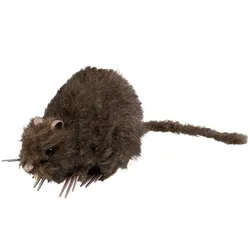 Ranzige Räuber Ratte 15 x 8cm - OS