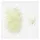 w widmann milano party fashion Spinnen 42 St. Glow in the Dark Weiß