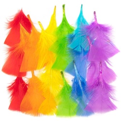 Federn in Regenbogenfarben  (pro Set 175) Bastelmaterial