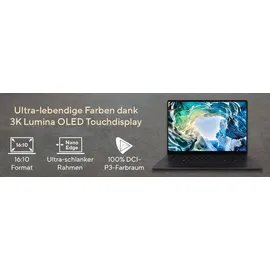 Asus ProArt P16 AMD Ryzen AI 9 HX 370 32 GB RAM 1 TB SSD RTX 5060 Win11 Pro