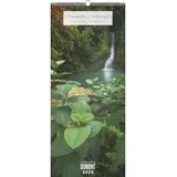 Dumont Kalenderverlag Traumhafte Landschaften 2026 - DUMONT Wandkalender - mit den wichtigsten Feiertagen - Hochformat 30,0 x 70 cm