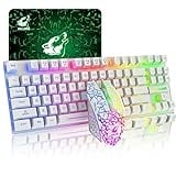 87 Tasten Drahtlose Tastatur Maus Combo Regenbogen von hinten beleuchtet 2.4G wiederaufladbare mechanische Feel Gaming-Tastatur+2400DPI 6 Tasten Optische Regenbogen-LED-Gaming-Maus+Mauspads (Weiß)