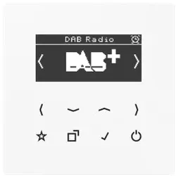 Jung DABLSWW Smart Radio DAB+, Serie LS, alpinweiß