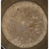 Fermentstarter, Backferment, Lievito Madre, Direktzugabe und Vorteig, 200 Gramm
