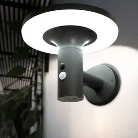 Expo Börse - Wandlampe mit Bewegungsmelder LED Solarleuchte Haustürlampe Fassadenleuchte anthrazit Gartenlampe, 250lm, kaltweiß, BxH 24x21 cm