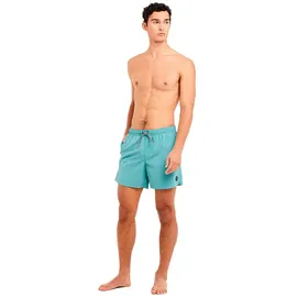 Protest Badeshorts Faster Arctic Green L