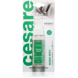 Mr & Mrs Fragrance Cesare Warm Spicy Lufterfrischer für das Auto 50 ml