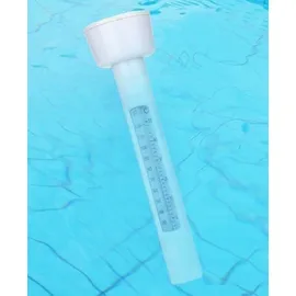Intex 28093 Pool Thermometer