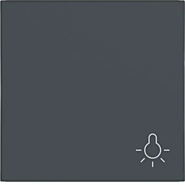 Hager WAW1012AT Wippe 1-fach mit Aufdruck Symbol Licht, A.x/C.x, anthrazit matt