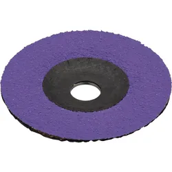 Schleifscheibe Purple Grain Easy ø 125 mm Korn 36